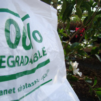 Plant ZERO supplies Quality Plants @ Affordable Prices